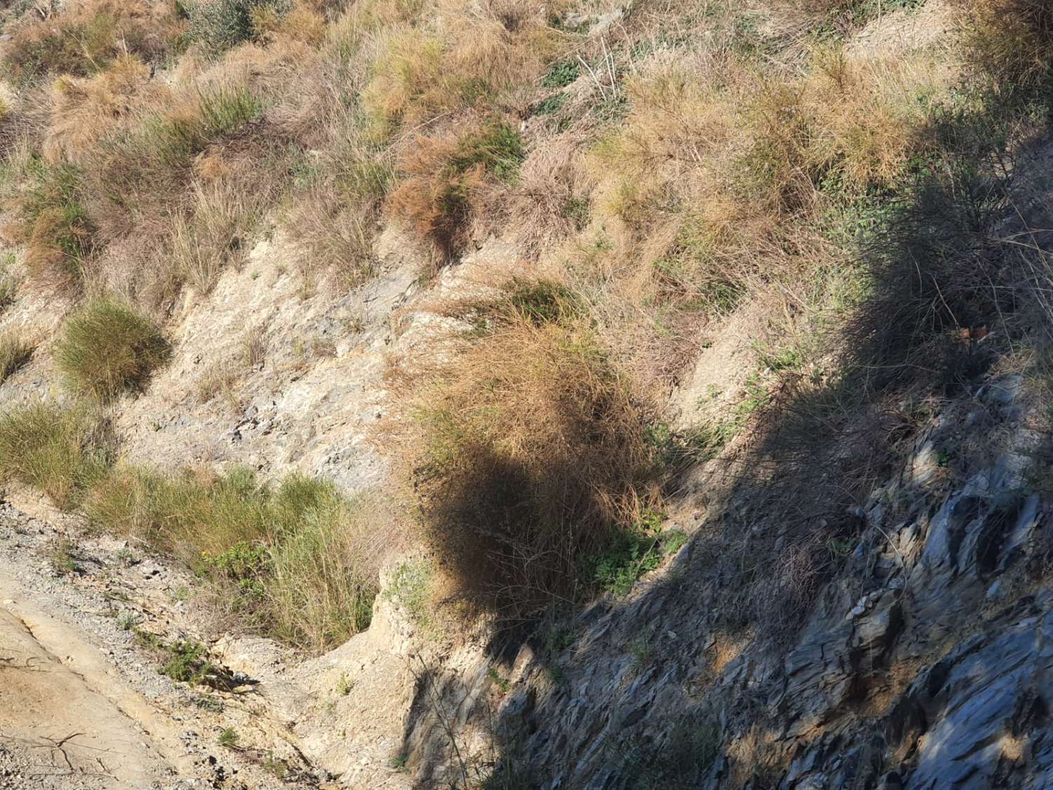 PARCELA DE UNOS 6000 METROS CON POSIBILIDAD DE UN POZO