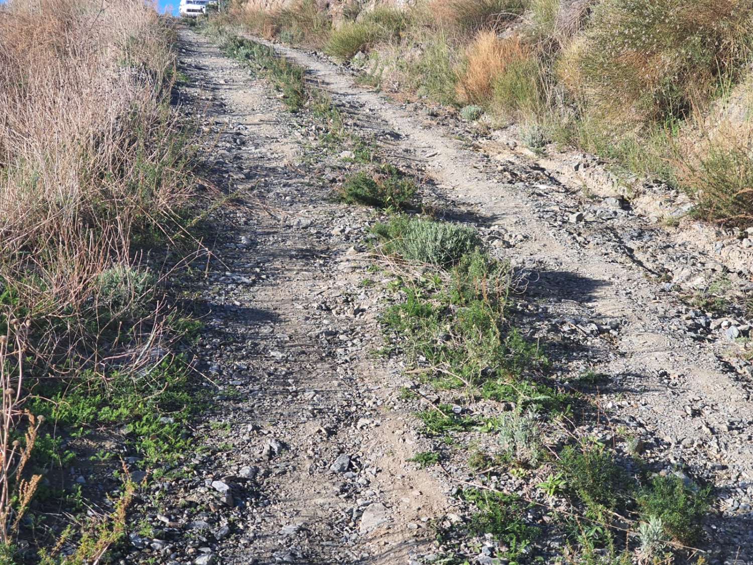 PARCELA DE UNOS 6000 METROS CON POSIBILIDAD DE UN POZO