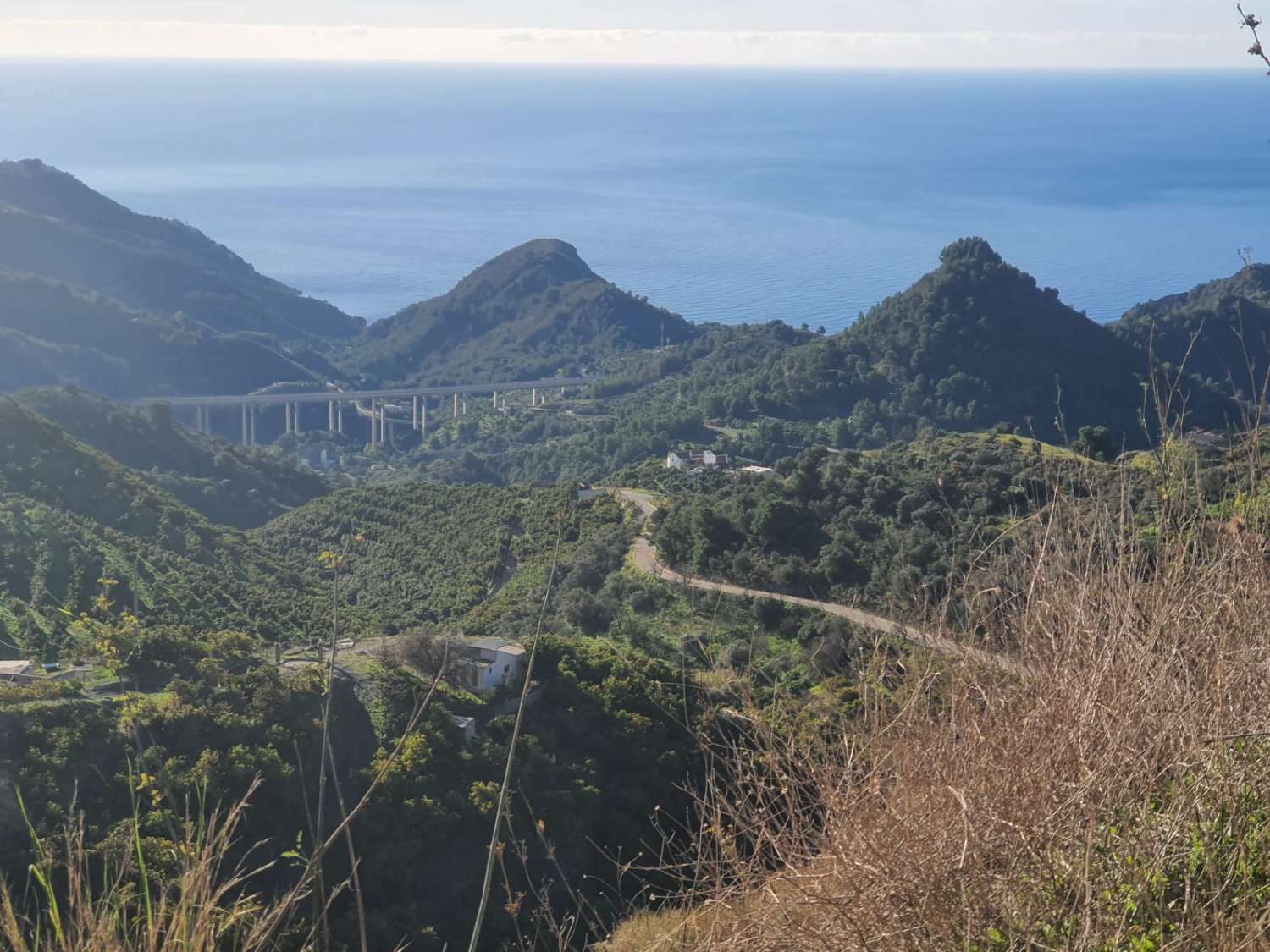 PARCELA DE UNOS 6000 METROS CON POSIBILIDAD DE UN POZO