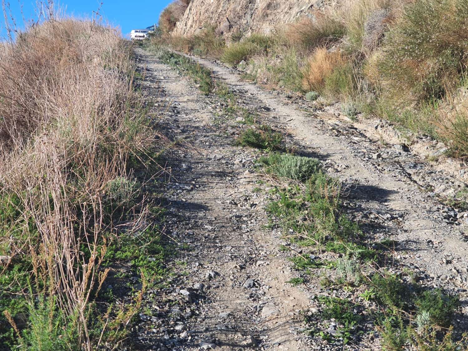 PARCELA DE UNOS 6000 METROS CON POSIBILIDAD DE UN POZO