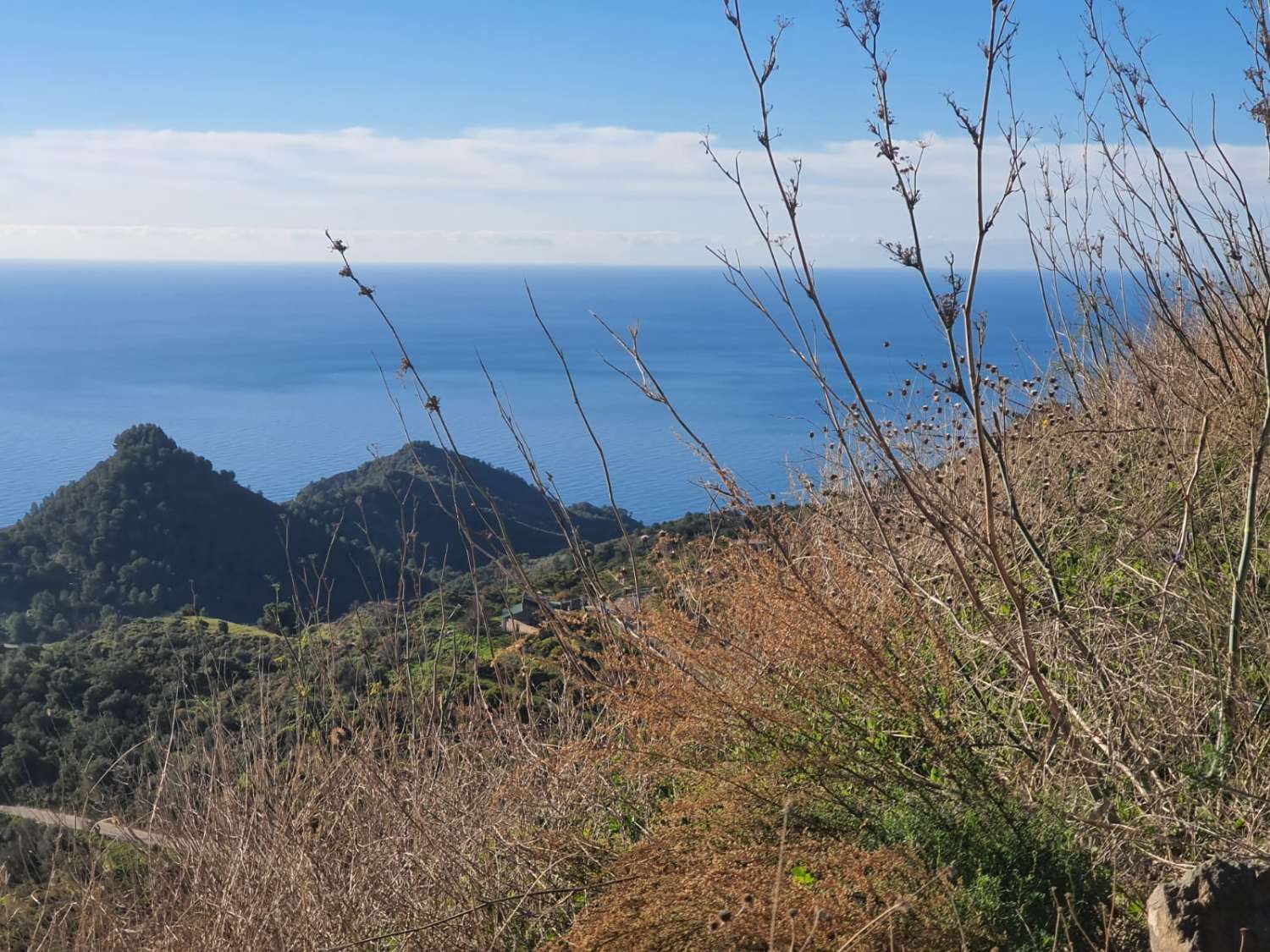 PARCELA DE UNOS 6000 METROS CON POSIBILIDAD DE UN POZO