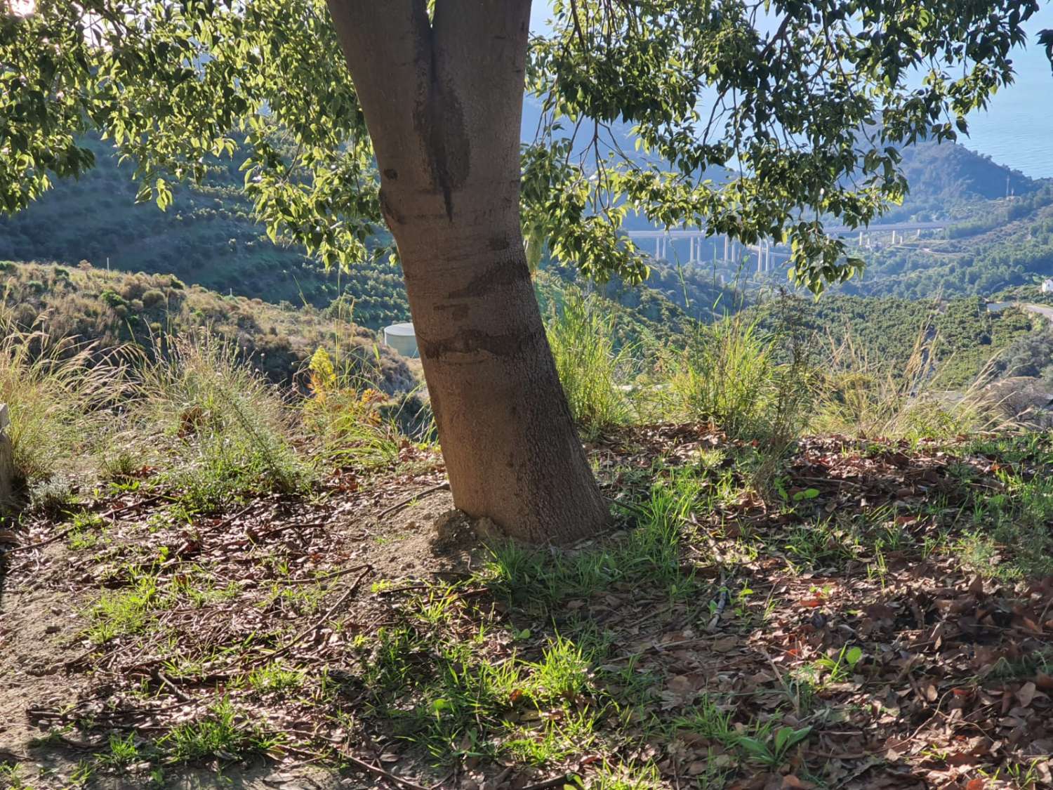 PARCELA DE UNOS 6000 METROS CON POSIBILIDAD DE UN POZO