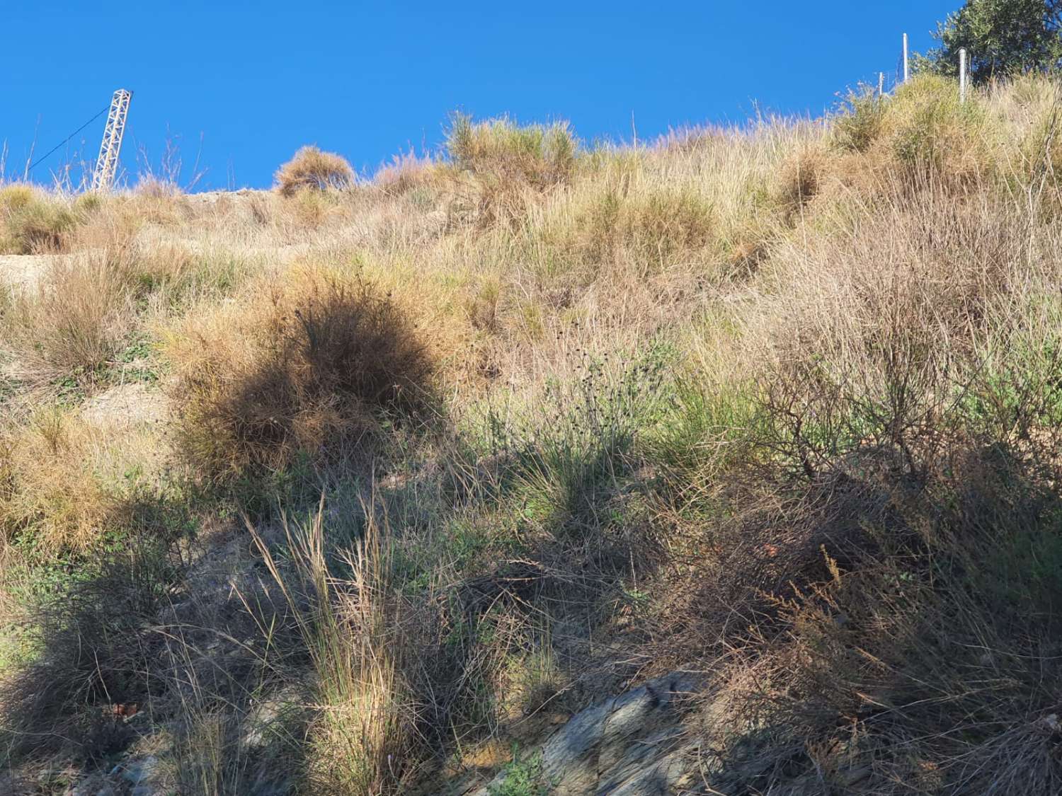 PARCELA DE UNOS 6000 METROS CON POSIBILIDAD DE UN POZO