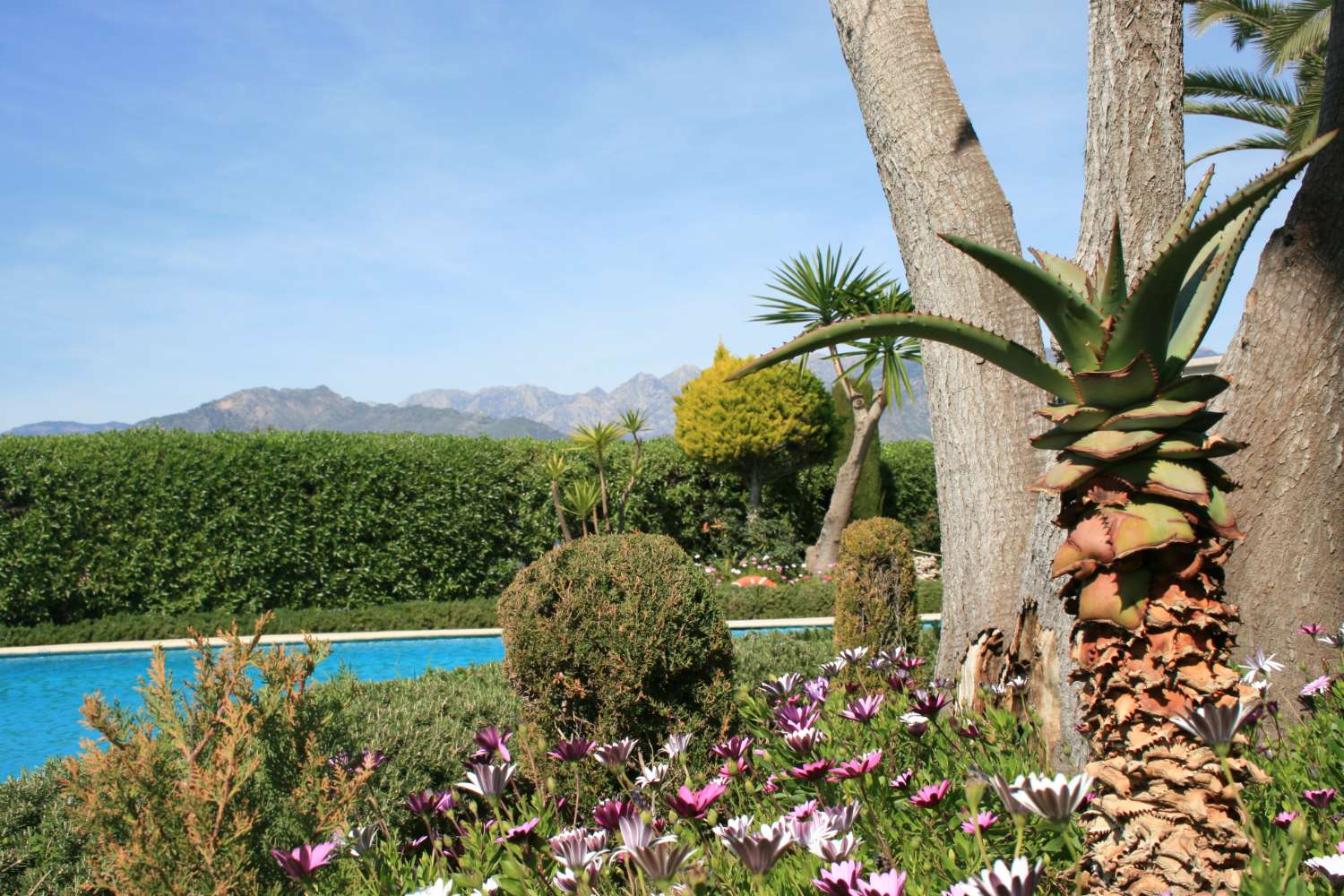 APARTAMENTO CON PISCINA COMUNITARIA JUNTO A PLAYA EL PLAYAZO