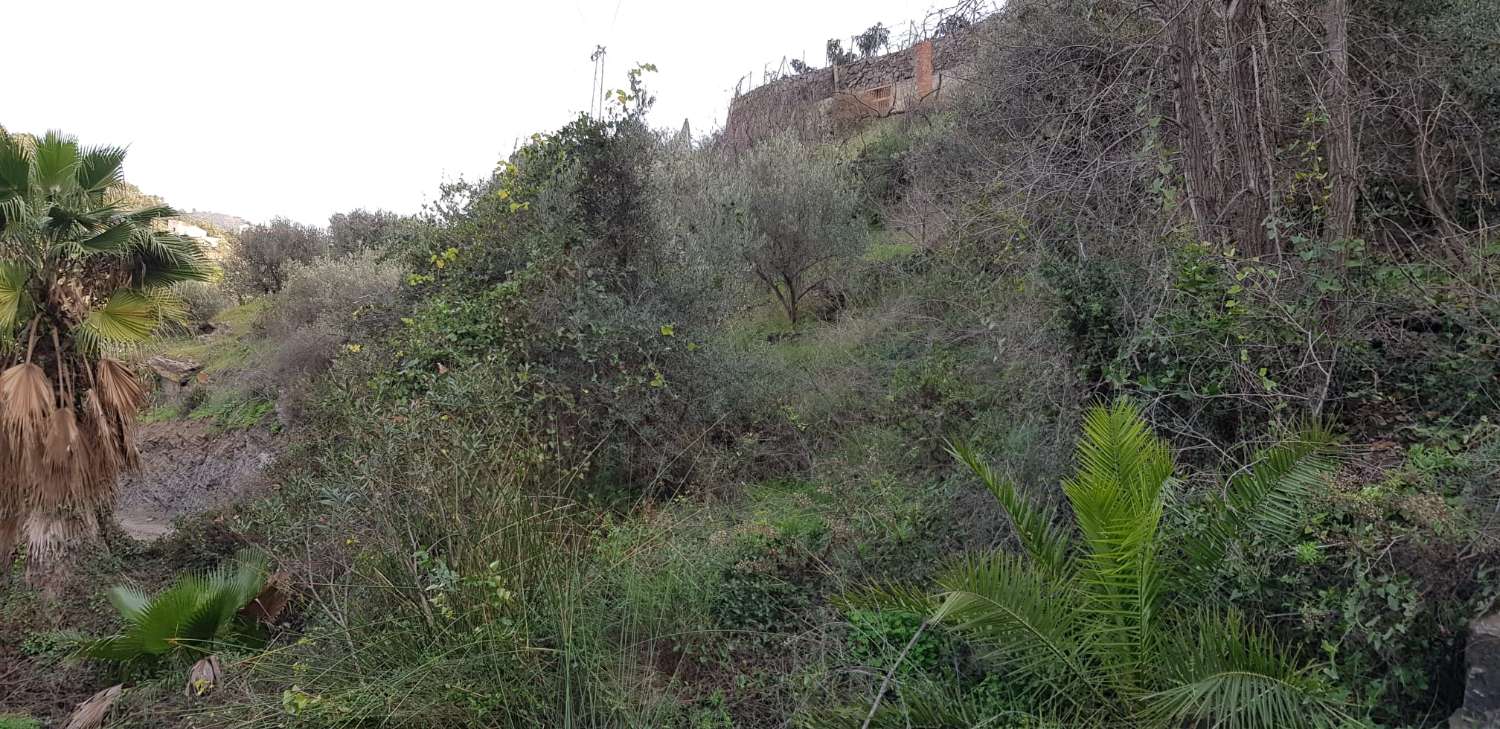 TOMT PÅ 1500 METER 1,5 KM FRA TORROX