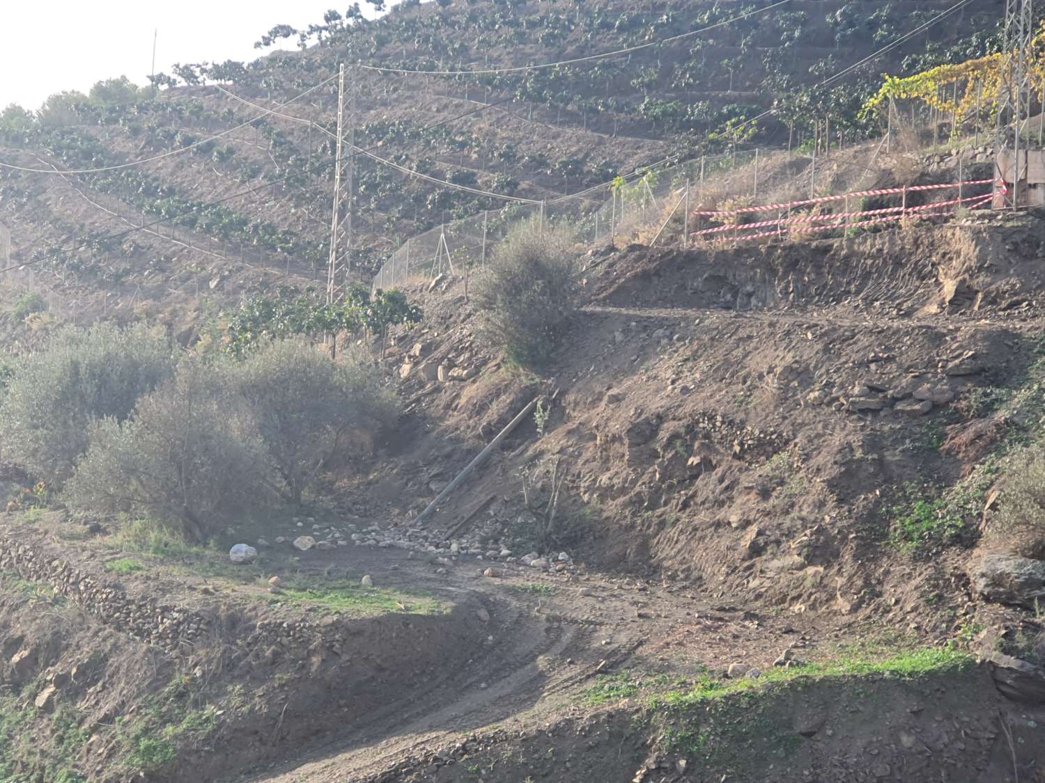 TOMT PÅ 1500 METER 1,5 KM FRA TORROX