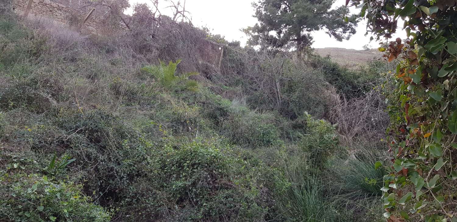 TOMT PÅ 1500 METER 1,5 KM FRA TORROX