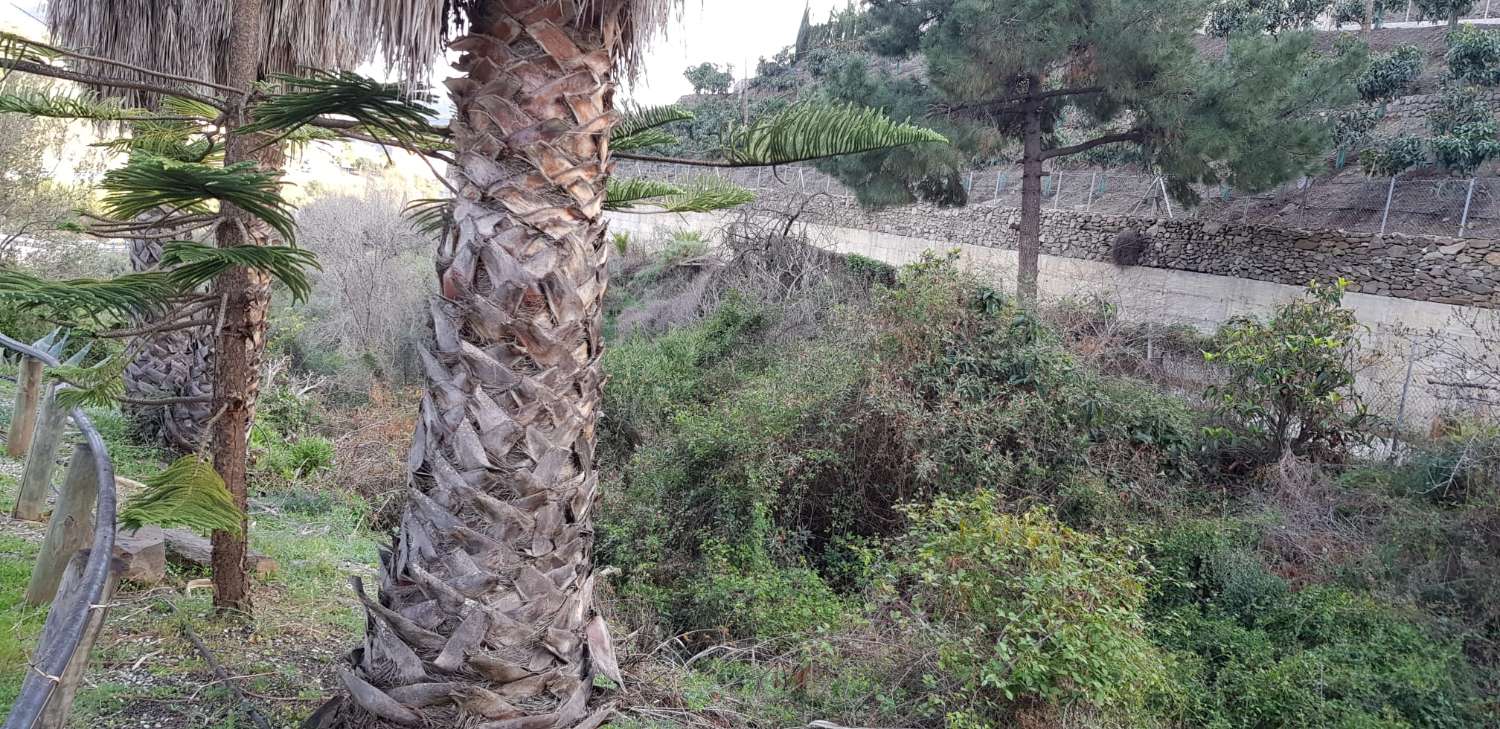 TOMT PÅ 1500 METER 1,5 KM FRA TORROX