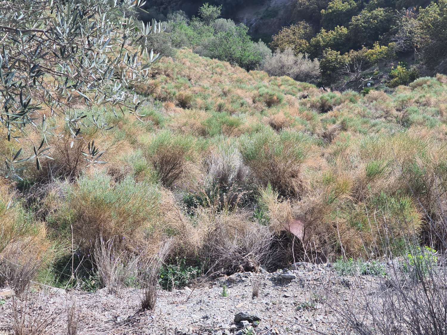 Parzelle zum verkauf in Nerja