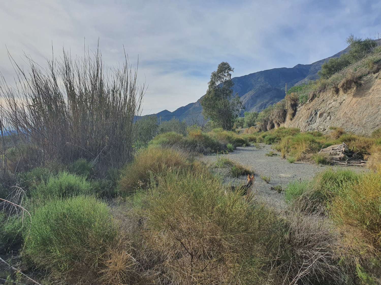 Parzelle zum verkauf in Nerja