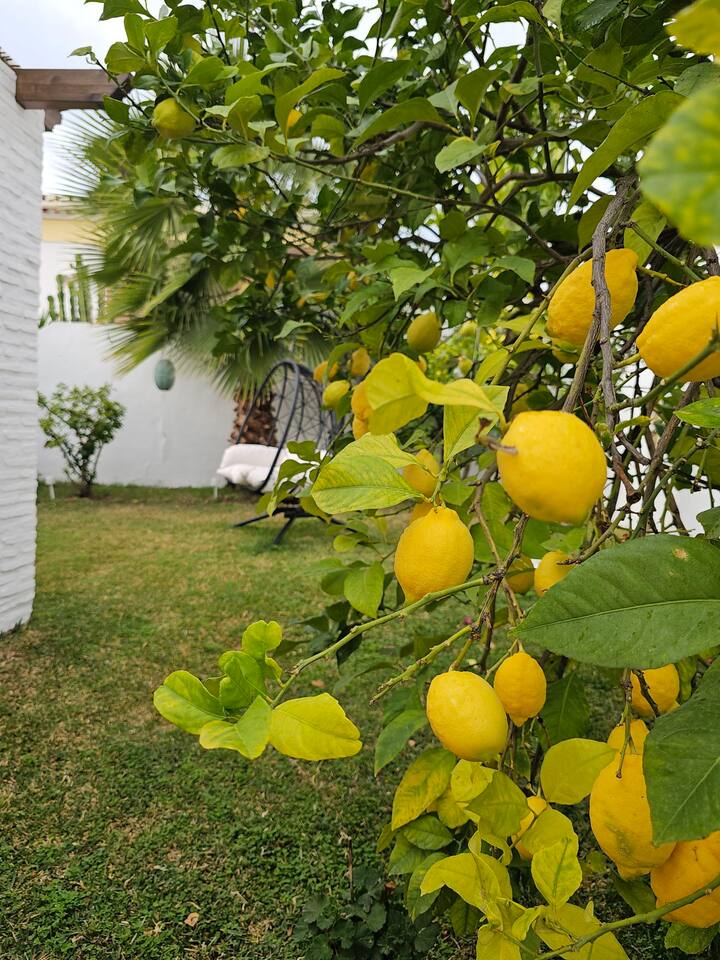 BEAUTIFUL THREE BEDROOM VILLA WITH PRIVATE POOL