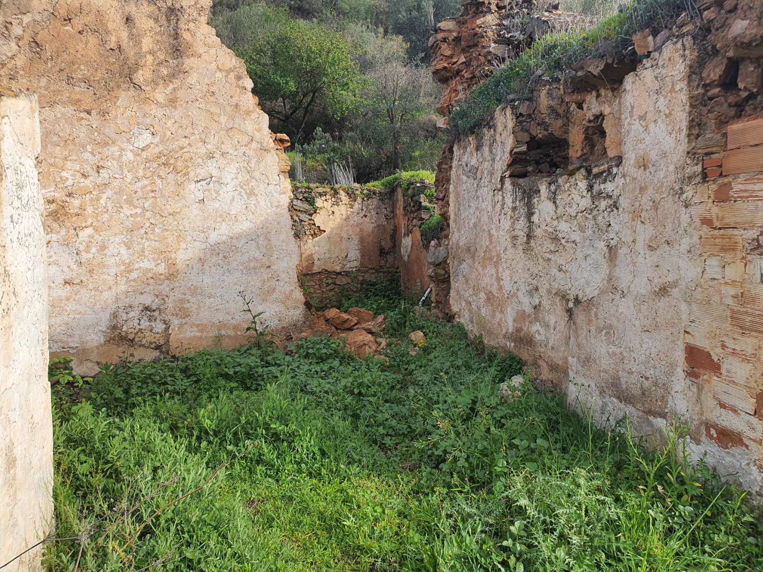 Parcelle en vente à Nerja