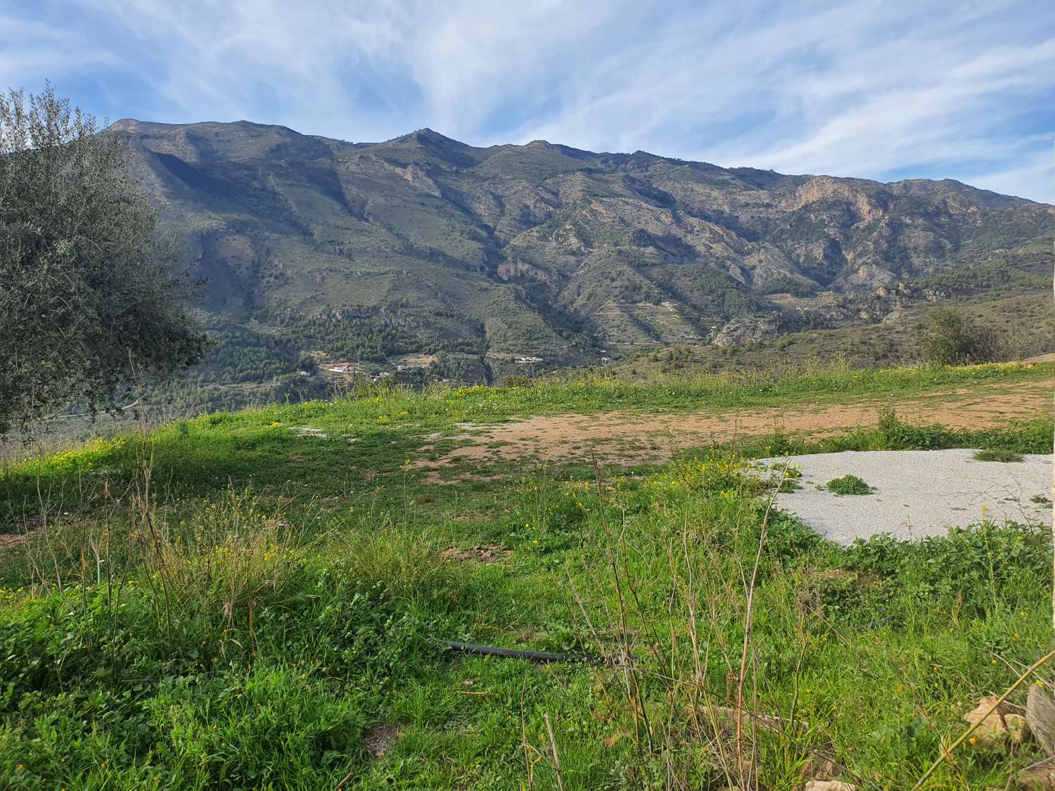 Parcelle en vente à Nerja