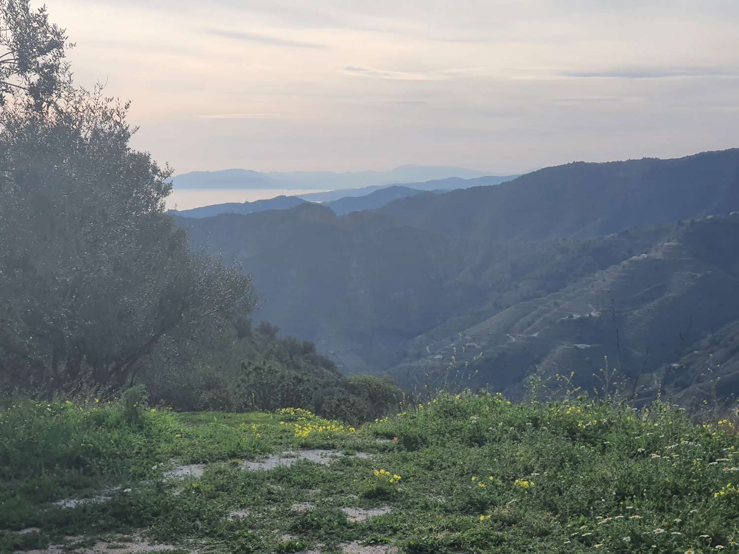 Parcelle en vente à Nerja