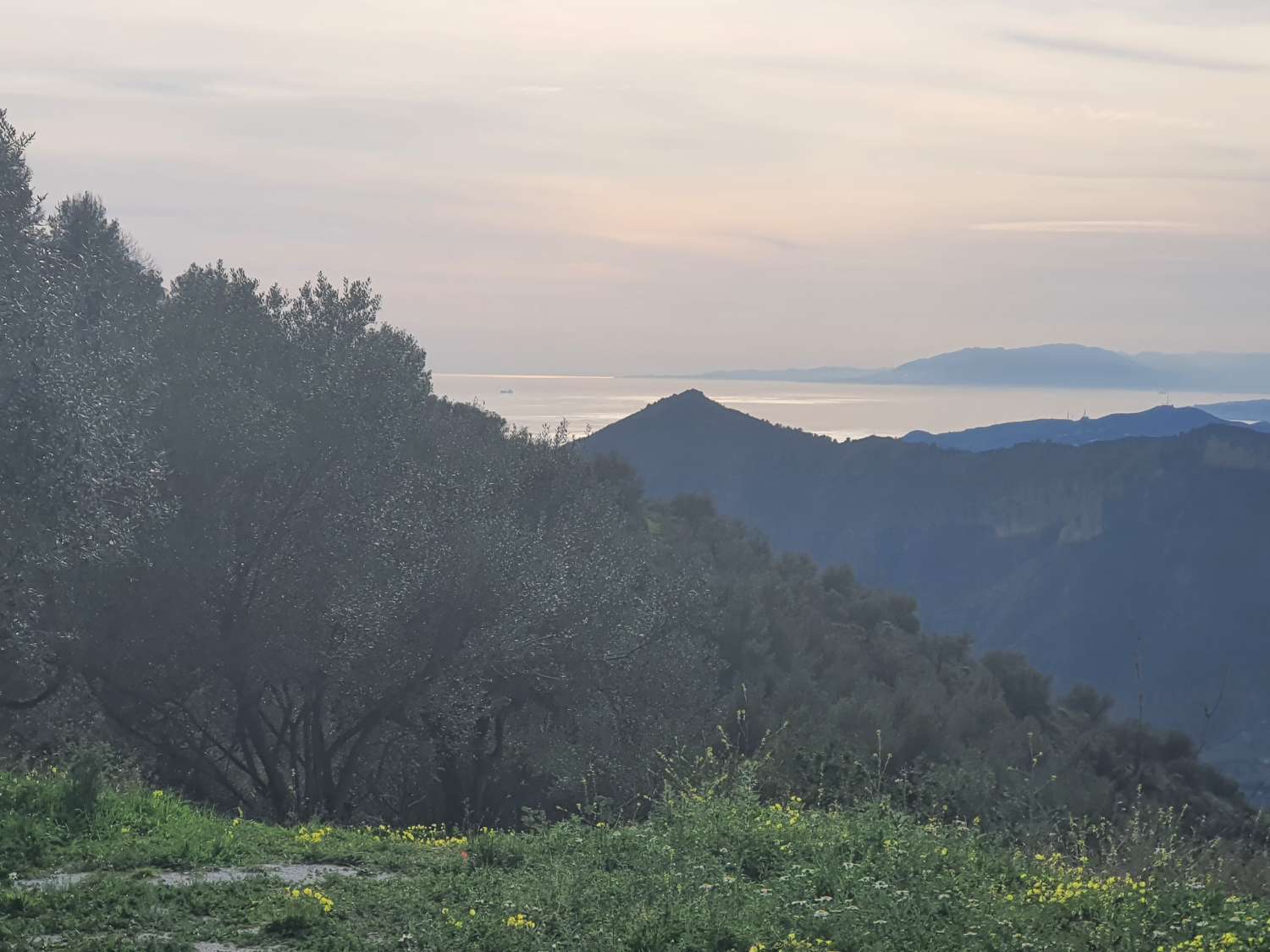 Parcelle en vente à Nerja