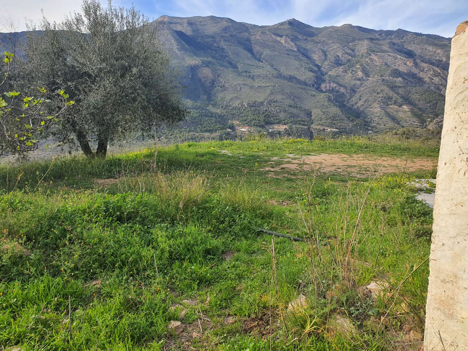 Parcelle en vente à Nerja