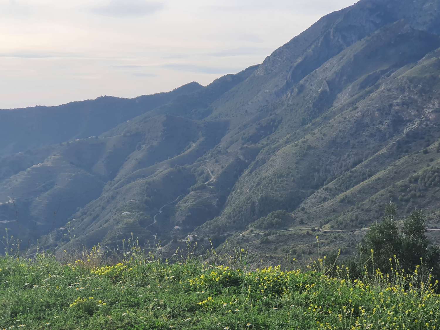 Parcelle en vente à Nerja
