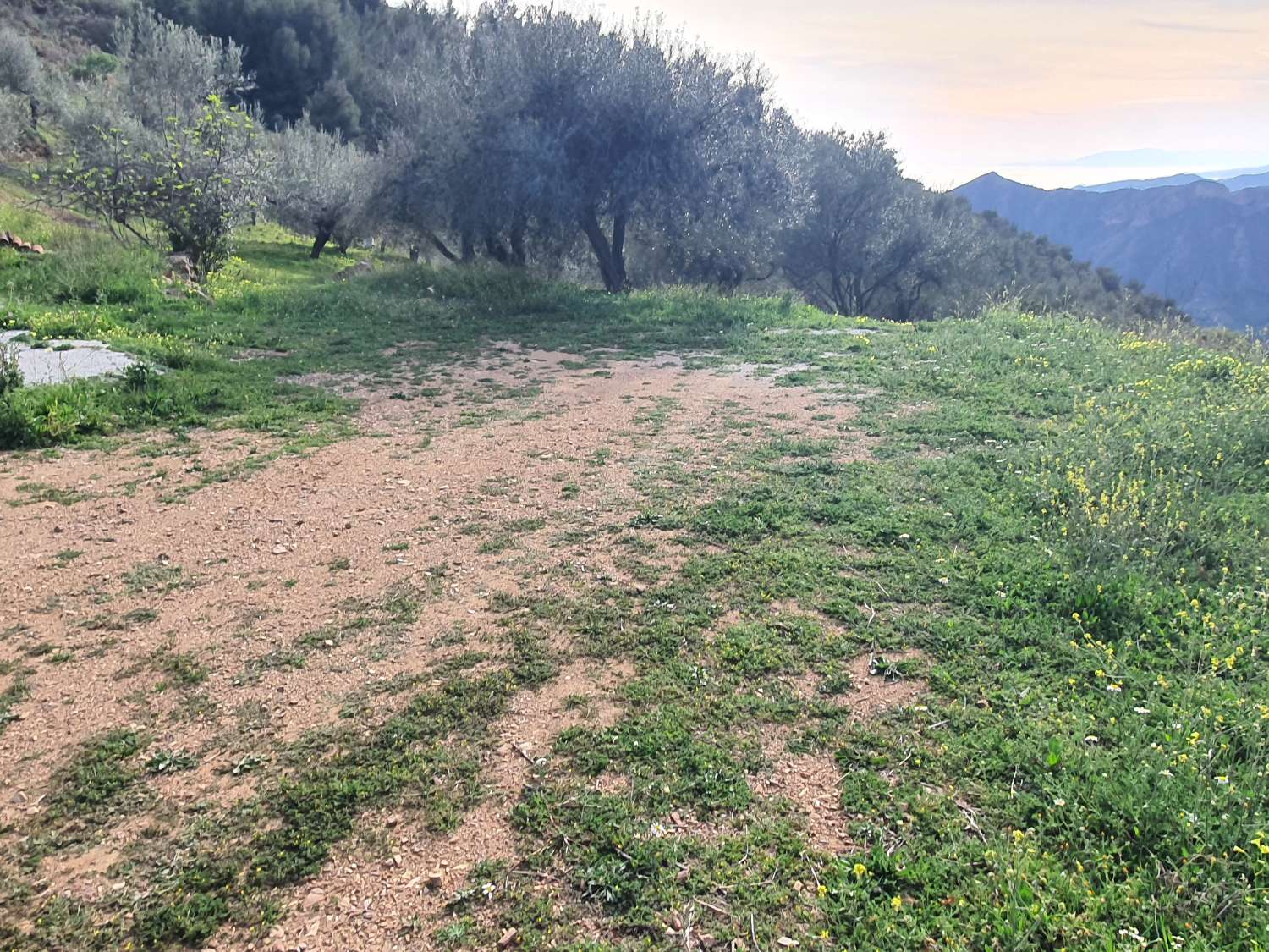 Parcelle en vente à Nerja