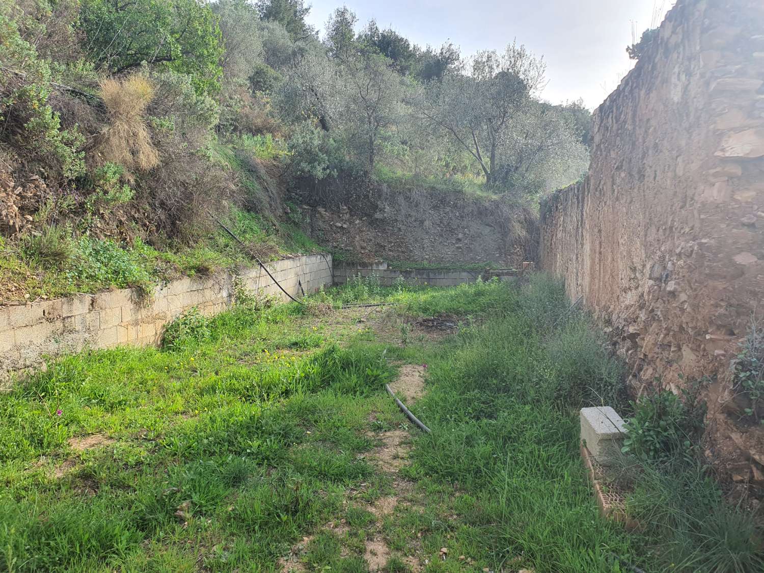 Parcelle en vente à Nerja