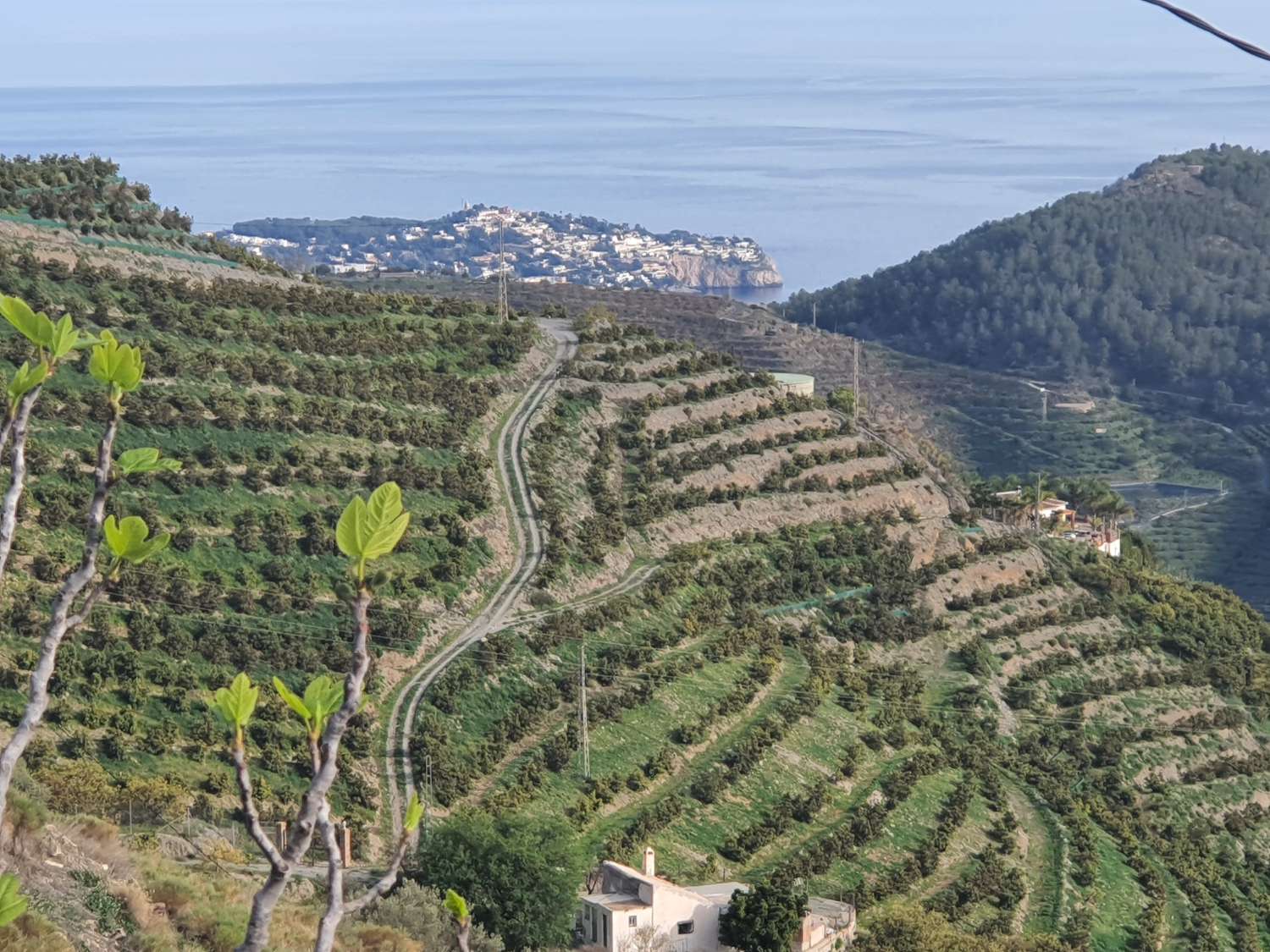 Parcelle en vente à Nerja