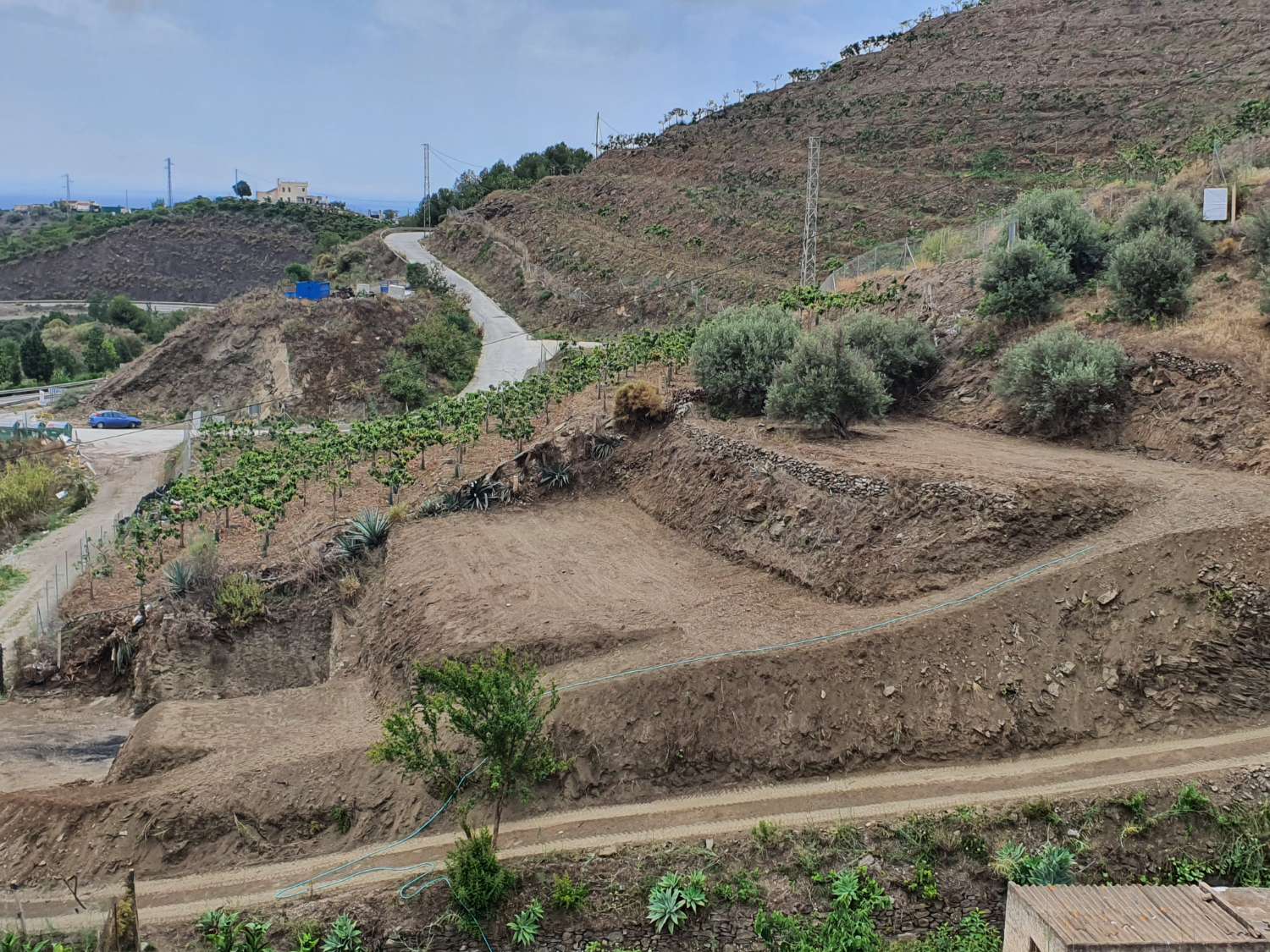 TERRAIN À VENDRE À 700 MÈTRES À TORROX