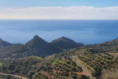 Finca en venta en Nerja