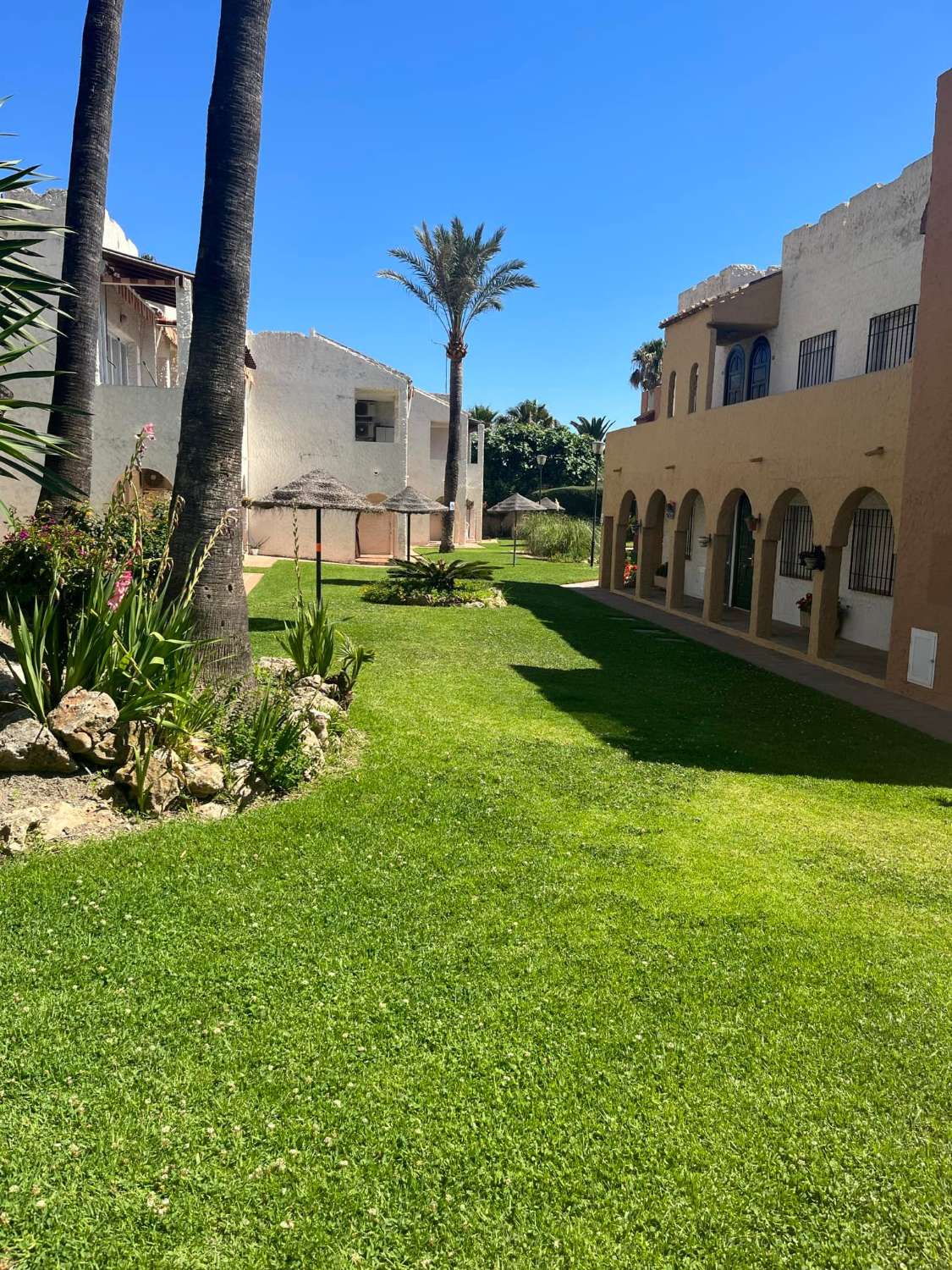 APARTAMENTO EN PLANTA BAJA CON PISCINA COMUNITARIA