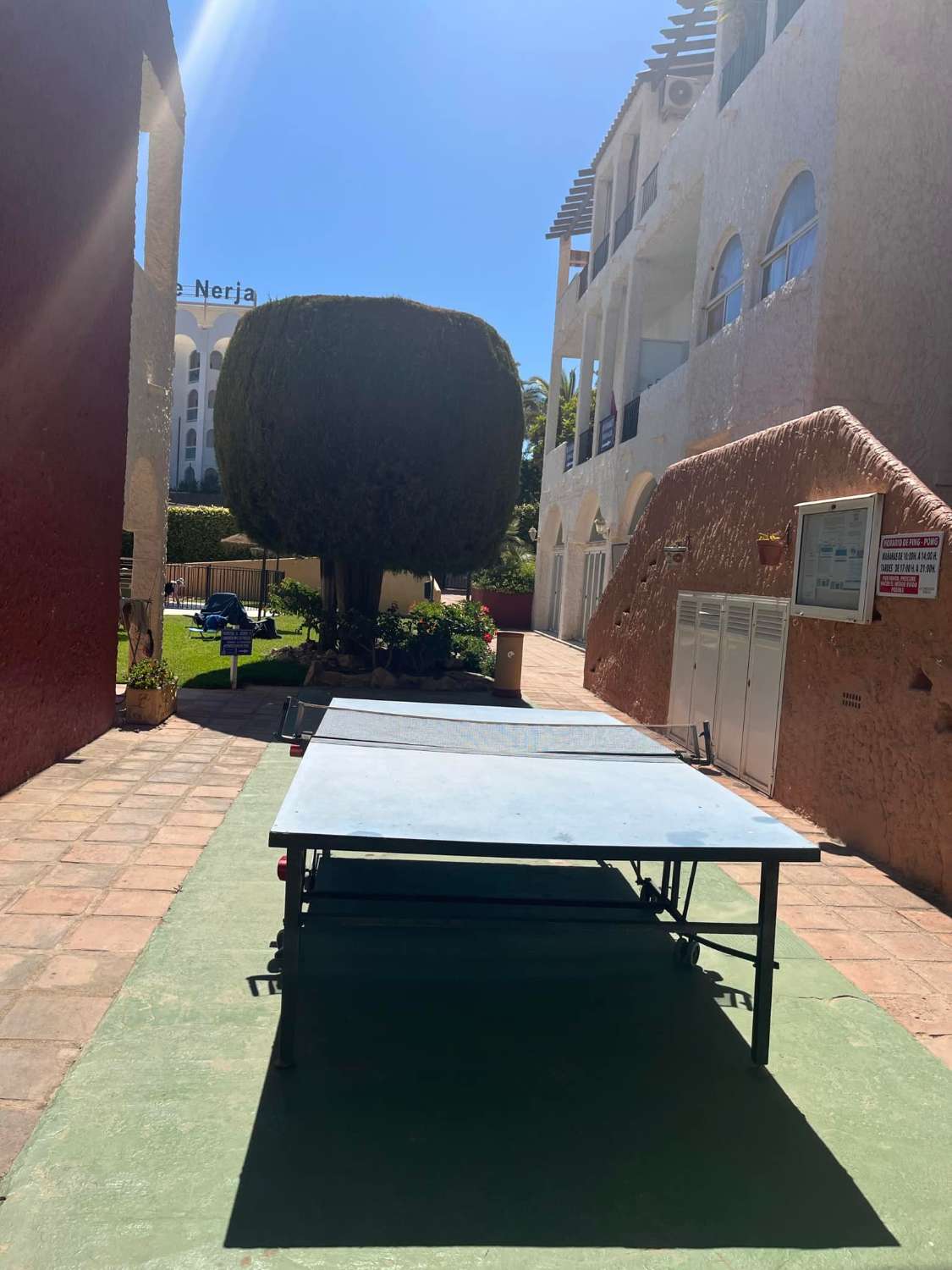 APARTAMENTO EN PLANTA BAJA CON PISCINA COMUNITARIA