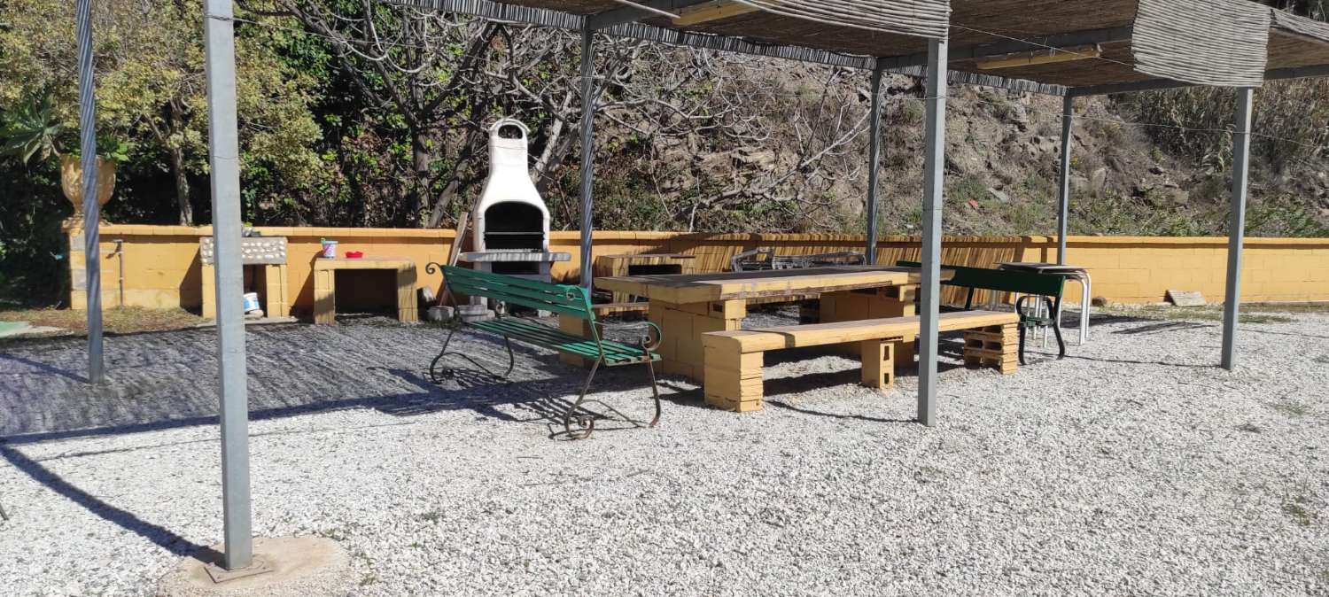 ESTUDIO EN LINEA DE PLAYA